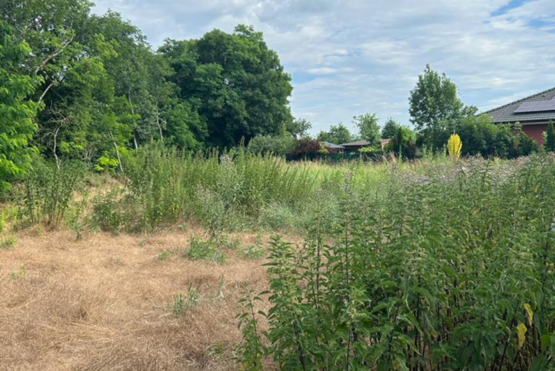 Stavebný denník - zoznam / Manažérske oddelenie: Príprava pred realizáciou RD DUR23, Zurndorf - foto Stavebný denník - zoznam / Manažérske oddelenie: Príprava pred realizáciou RD DUR23, Zurndorf - foto