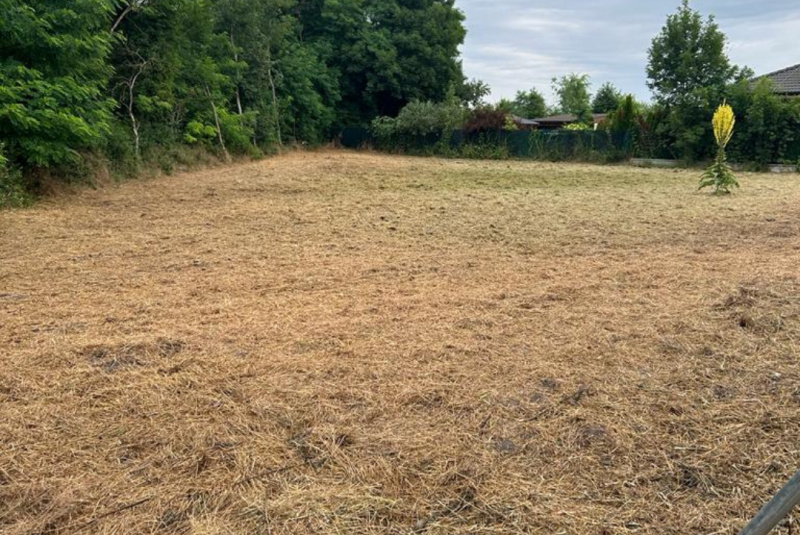 Stavebný denník - zoznam / Manažérske oddelenie: Príprava pred realizáciou RD DUR23, Zurndorf - foto Stavebný denník - zoznam / Manažérske oddelenie: Príprava pred realizáciou RD DUR23, Zurndorf - foto